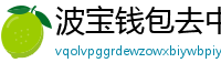 波宝钱包去中心化下载